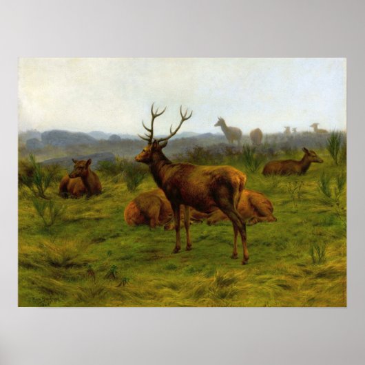 Poster Bonheur - Le Monarque Du Pack (Devant)