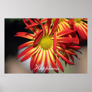 Poster Bonheur motivationnel