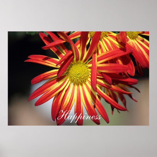 Poster Bonheur motivationnel (Devant)