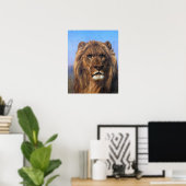 Poster Bonheur - Portrait D'Un Lion (Bureau à domicile)