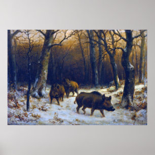 Poster Bonheur - Sangliers dans la neige