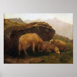 Poster Bonheur - Sheep On A Hill
