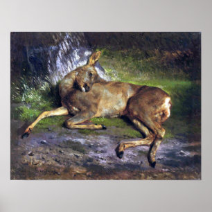 Poster Bonheur - Un Cerf De Roi Dans La Forêt