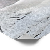 Poster bonhomme de neige et lapin mangeant de la carotte (Coin)