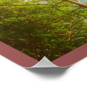 Poster Bonjour (Coin)