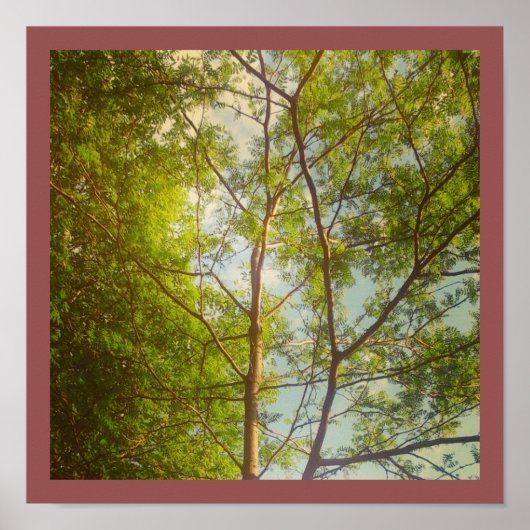 Poster Bonjour (Devant)