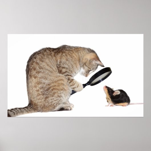 Poster Bonjour ! ? (Devant)