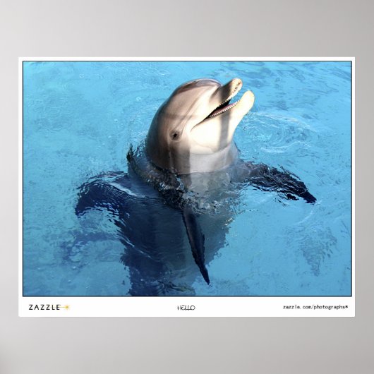 Poster Bonjour ! (Devant)