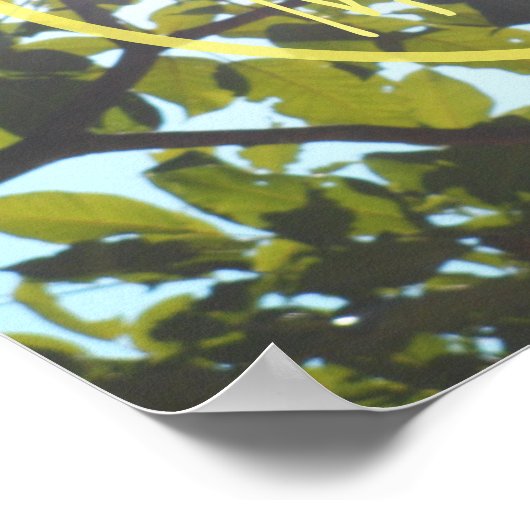 Poster Bonjour (Coin)