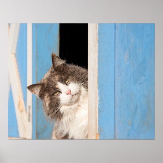 Poster Bonjour ! (Devant)