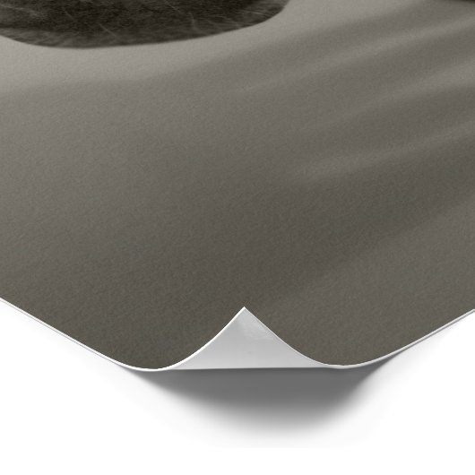 Poster Bonjour  (Coin)