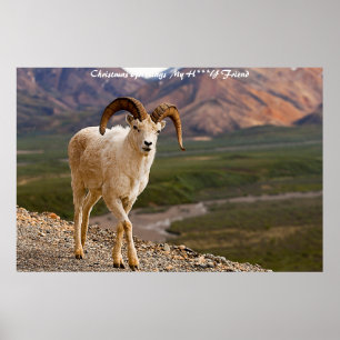 Poster Bonjour à Noël Mon ami