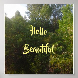 Poster Bonjour beau