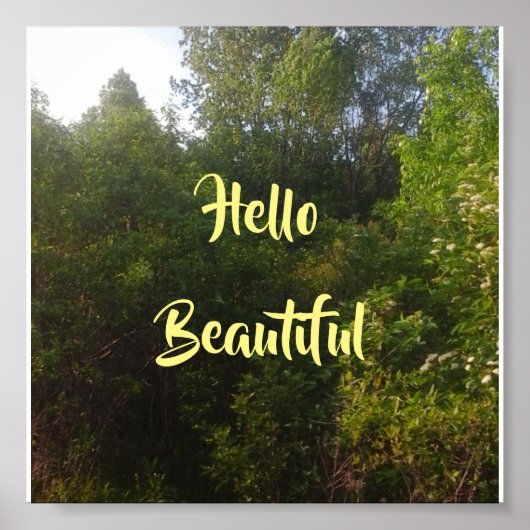 Poster Bonjour belle (Devant)