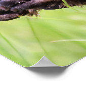 Poster Bonjour de Noël Mon castor occupé (Coin)