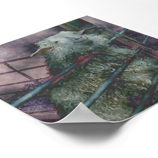 Poster Bonjour Dolly ! (Coin)