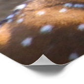 Poster Bonjour Noël Grand-père Hunter Gatherer (Coin)