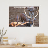 Poster Bonjour Noël Grand-père Hunter Gatherer (Cuisine)