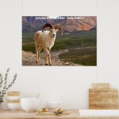 Poster Bonjour Noël Grand-père Hunter Gatherer (Cuisine)