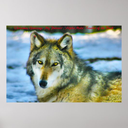 Poster Bonjour Noël Leader du Pack (Devant)