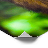 Poster Bonjour Noël Leader du Pack (Coin)