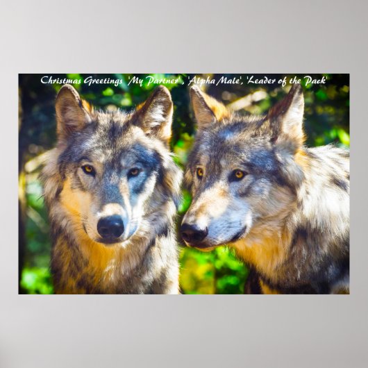 Poster Bonjour Noël Leader du Pack (Devant)