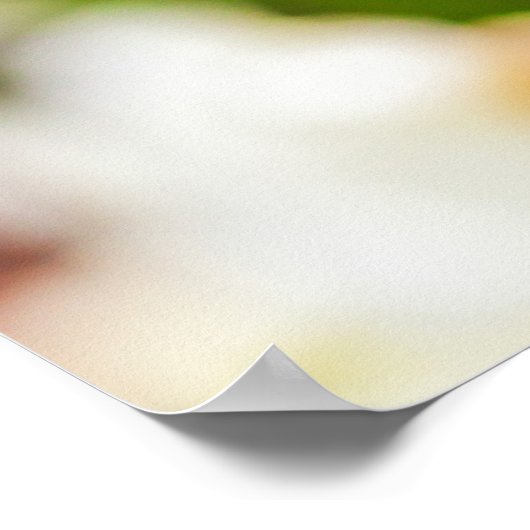 Poster Bonjour Printemps ! (Coin)