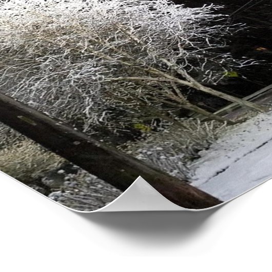 Poster Bonne année (Coin)