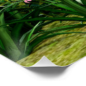 Poster Bonne chèvre (Coin)