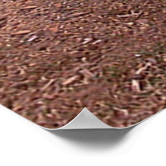 Poster Bonne chèvre (Coin)