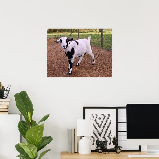 Poster Bonne chèvre (Bureau à domicile)