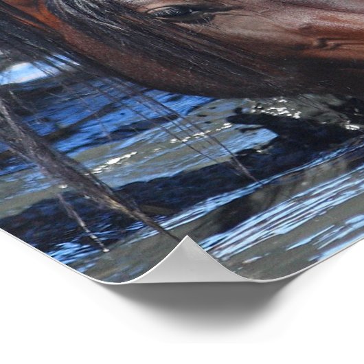 Poster Bonne heure (Coin)