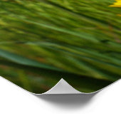 Poster Bonne journée commence avec une grande infirmière  (Coin)