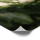 Poster Bonnie Et Clyde Embrace 1933 Remastered (Coin)