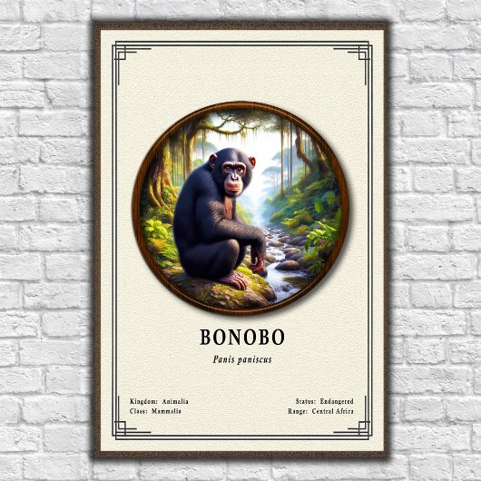 Poster Bonobo Zoology Series