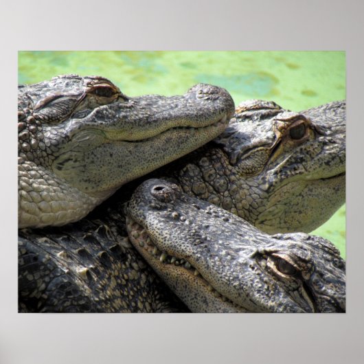 Poster Bons (Devant)