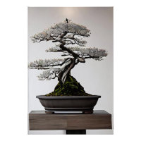 Bonsai en Harmonie