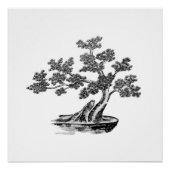 Poster Bonsai - Style chinois - noir et blanc (Devant)