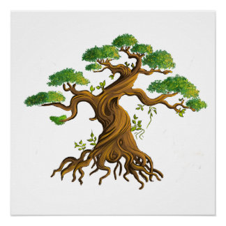 Poster Bonzaï géant en dessin couleurs