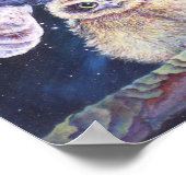 Poster Boobook Owl Family. (Coin)