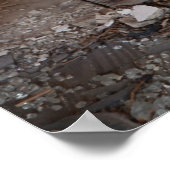 Poster Boobtube (Coin)