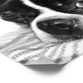 Poster Boohoo (Coin)