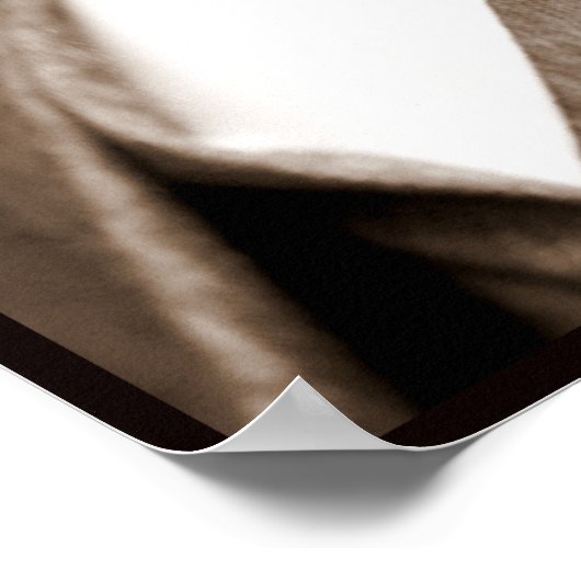 Poster Booker T. Washington The Great Accommodator (Coin)