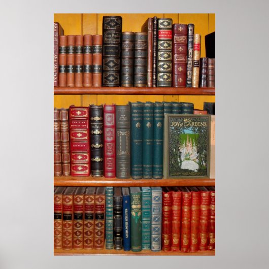 Poster books library bookshelf bookshop (Devant)