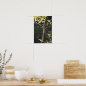 Poster boomtakken (Keuken)