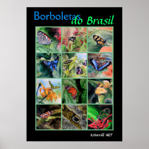 Poster Borboletas do Brasil