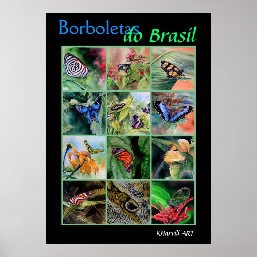 Poster Borboletas do Brasil (Devant)
