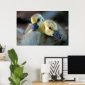 Poster Bord de lac (Bureau à domicile)