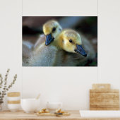 Poster Bord de lac (Cuisine)