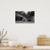 Poster Bord de mer, cascade de l'Oregon près de Hug Point (Cuisine)